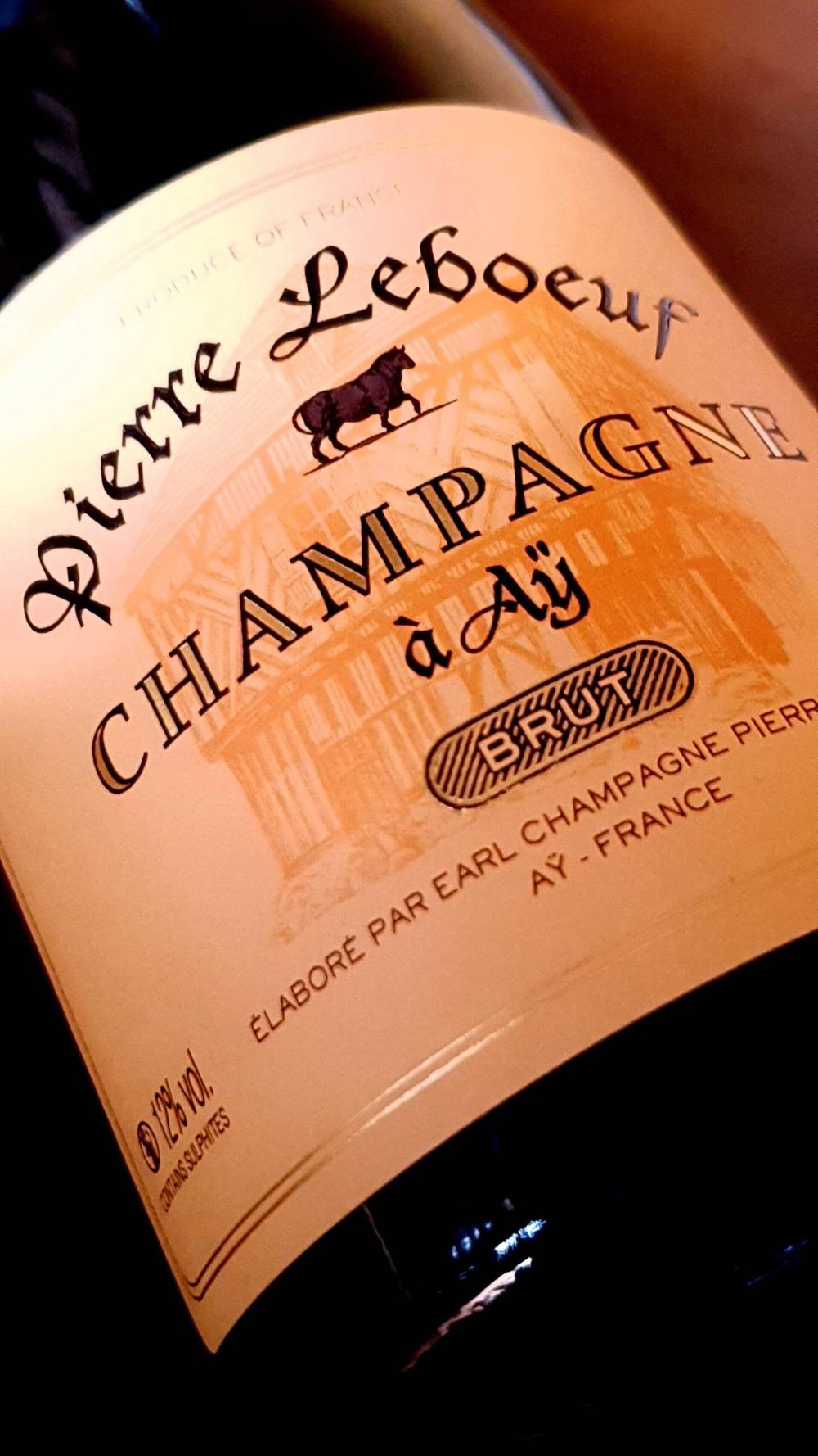 Dégustation champagne à Épernay