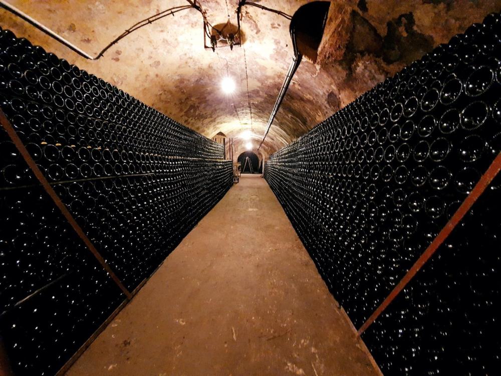 Visites cave