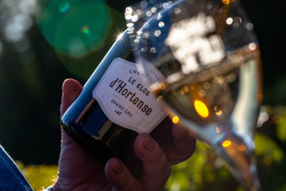 Clos d'Hortense 2015