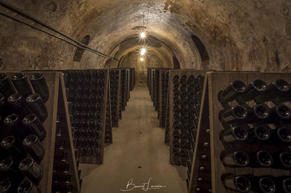Visite guidée et commentée de notre cave