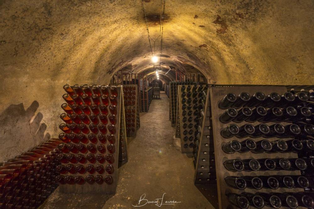 Champagne Pierre Leboeuf à Aÿ-Champagne- (40)
