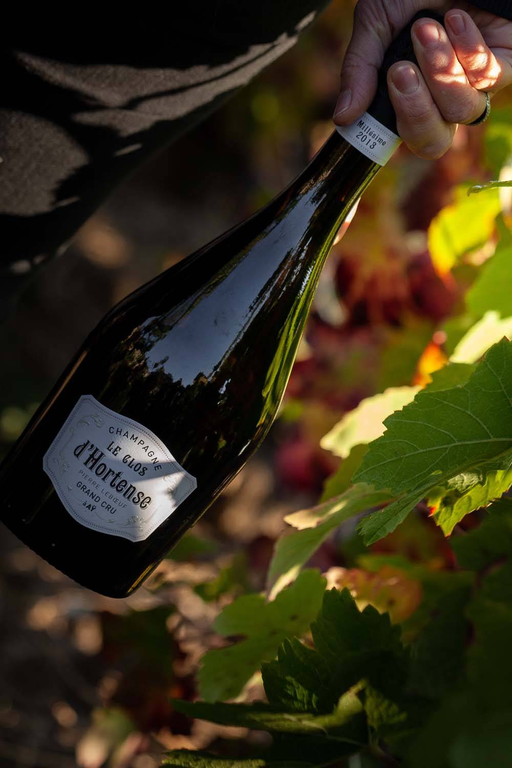 Champagne Pierre Leboeuf - Dégustation au domaine - 5