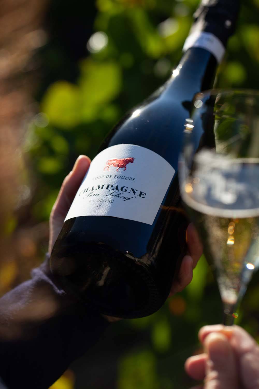 Champagne Pierre Leboeuf - Dégustation au domaine - 7