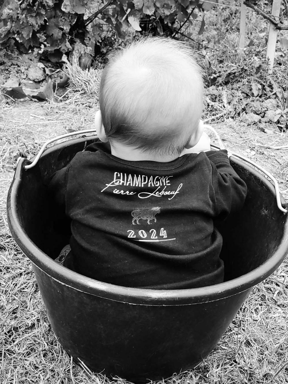 Jules - mon fils - 2024